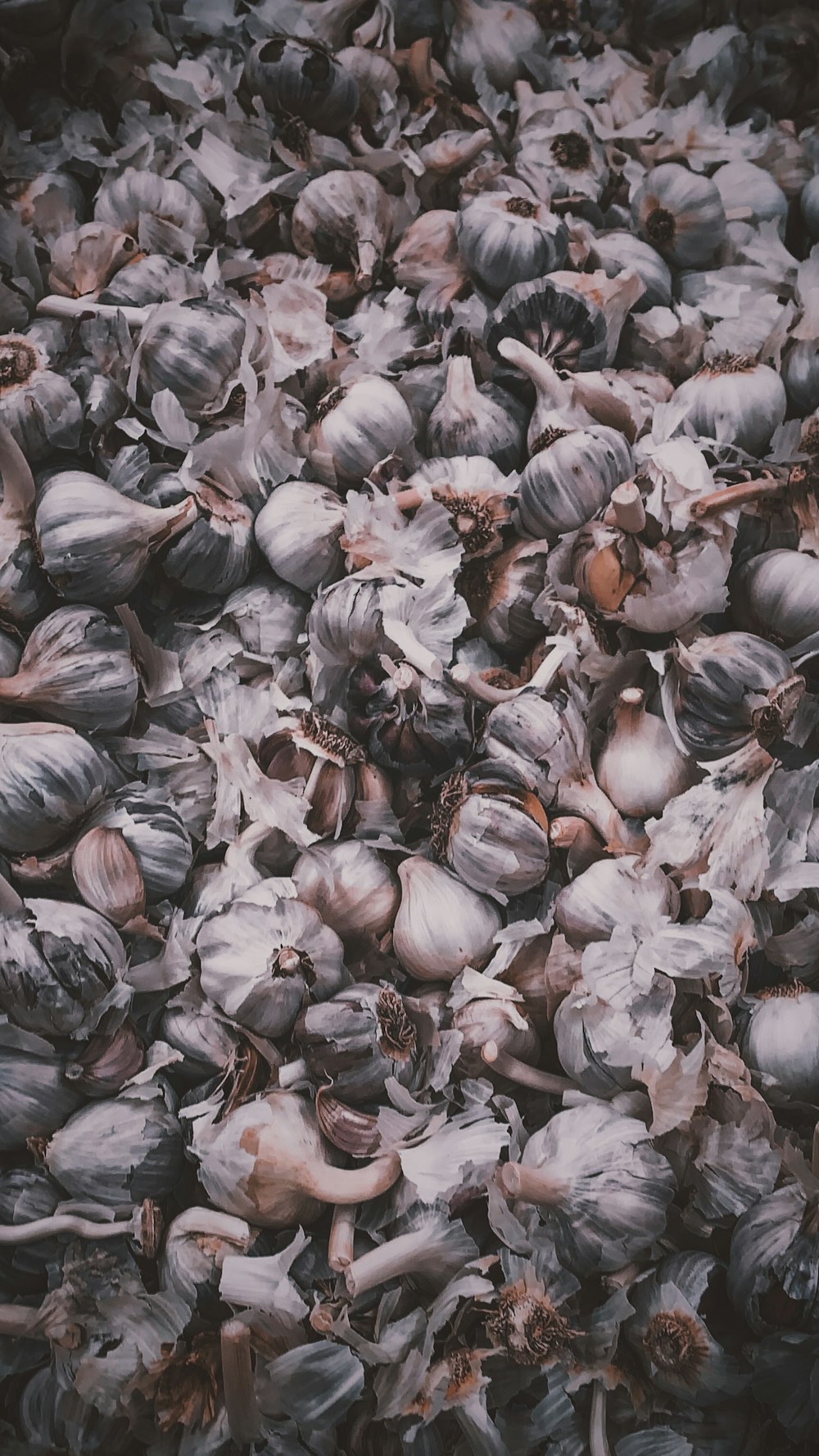 white garlic on brown wooden table