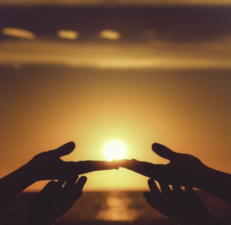 silhouette of persons hand during sunset