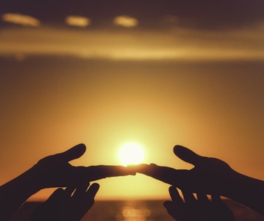 silhouette of persons hand during sunset