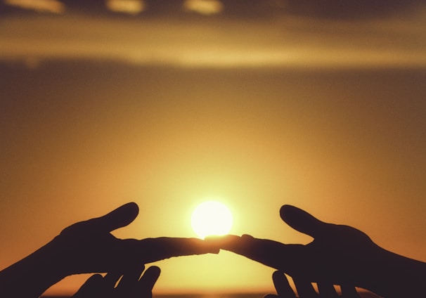 silhouette of persons hand during sunset