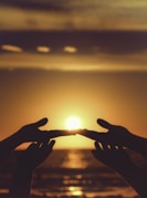 silhouette of persons hand during sunset