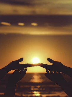 silhouette of persons hand during sunset