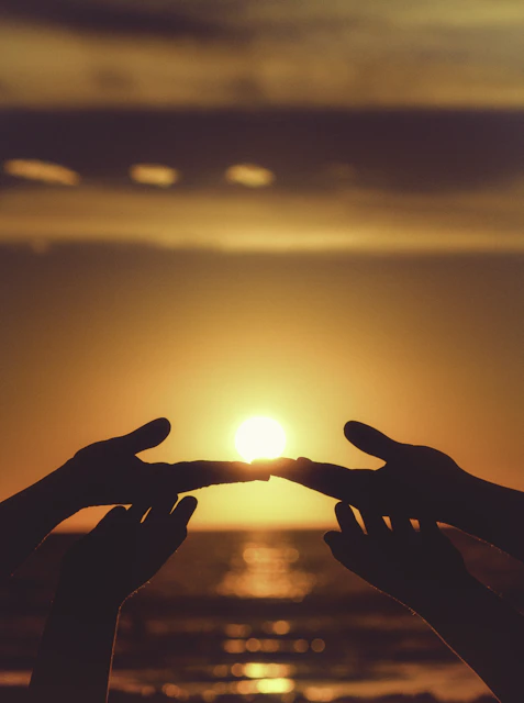 silhouette of persons hand during sunset