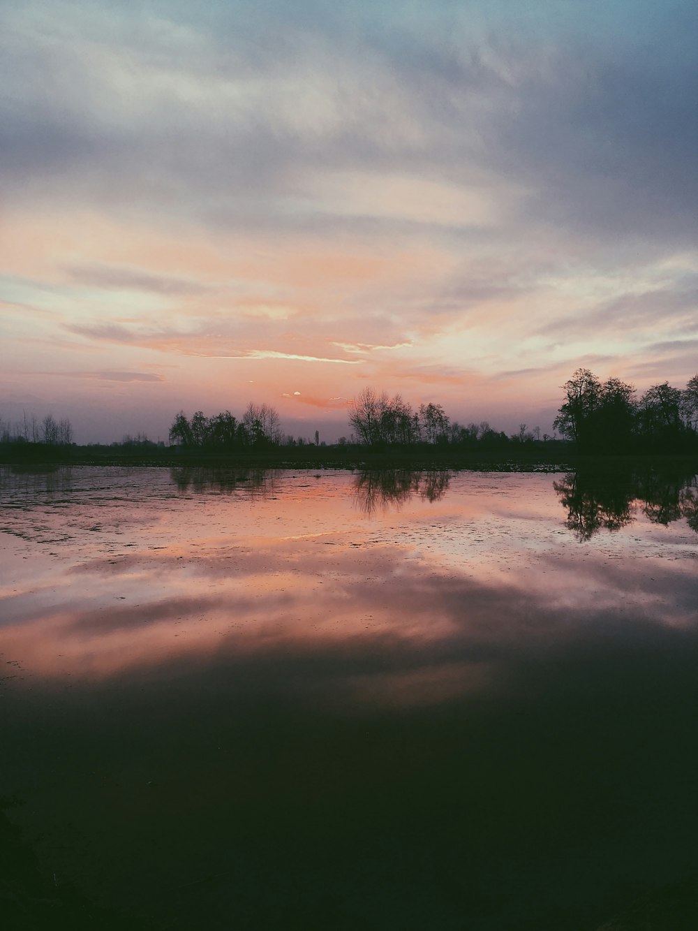 green trees beside body of water during sunset