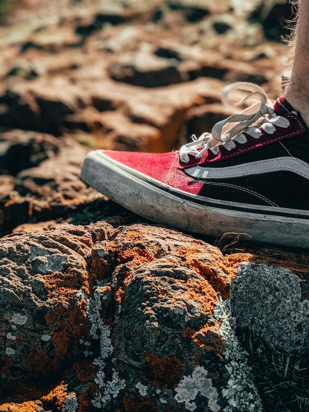 person wearing red and white converse all star high top sneakers