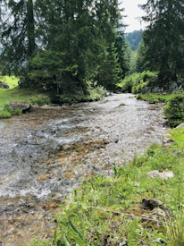 A peaceful mountain stream flowing gently beside the vacation home.