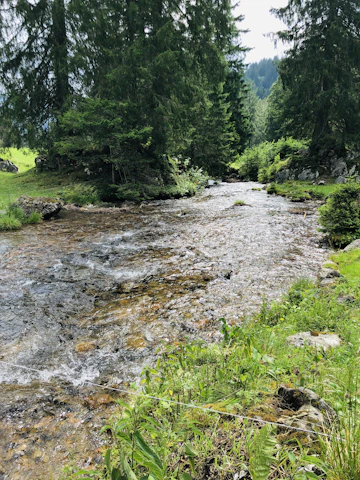 A peaceful mountain stream flowing gently beside the vacation home.