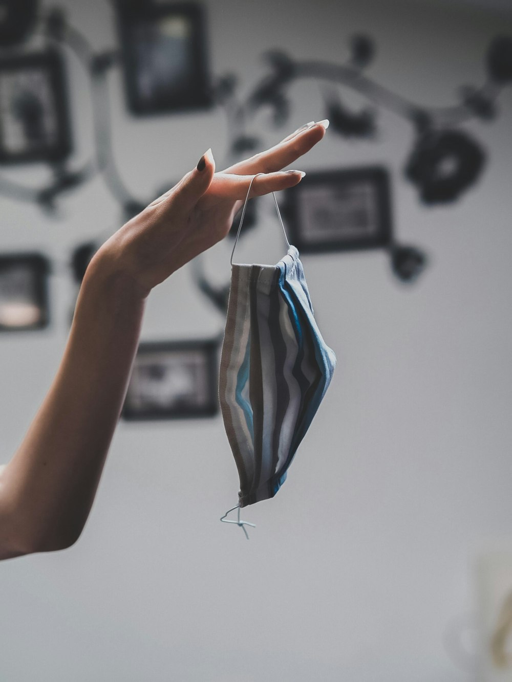 person holding blue and white textile