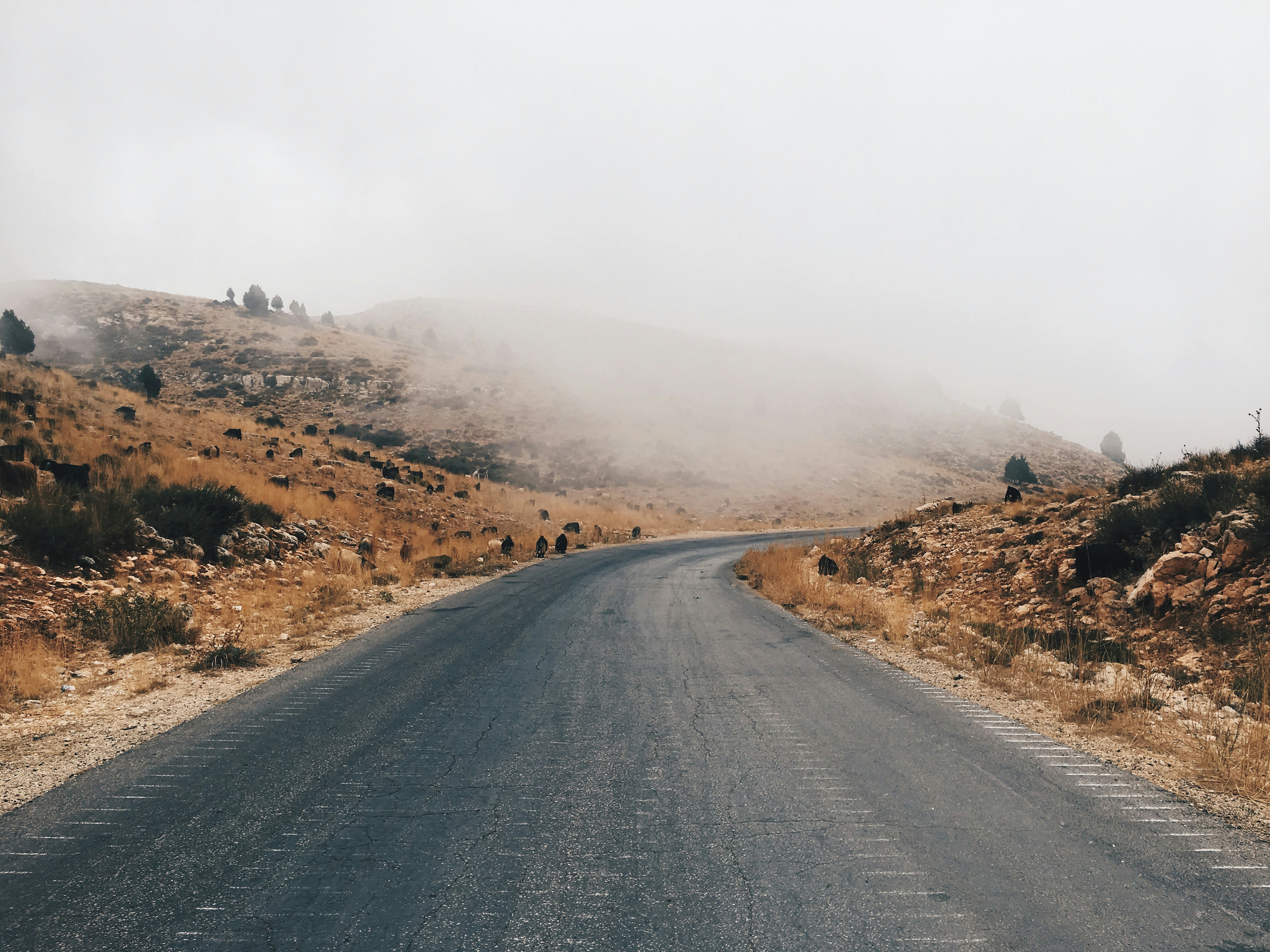 gray asphalt road near brown mountain during daytime