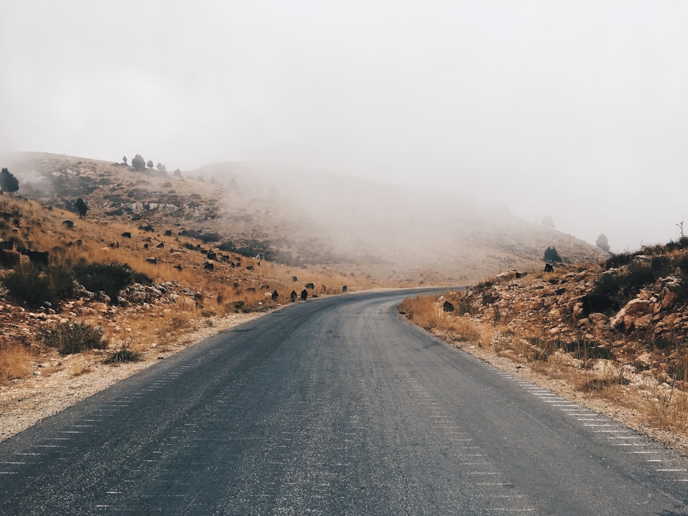 gray asphalt road near brown mountain during daytime