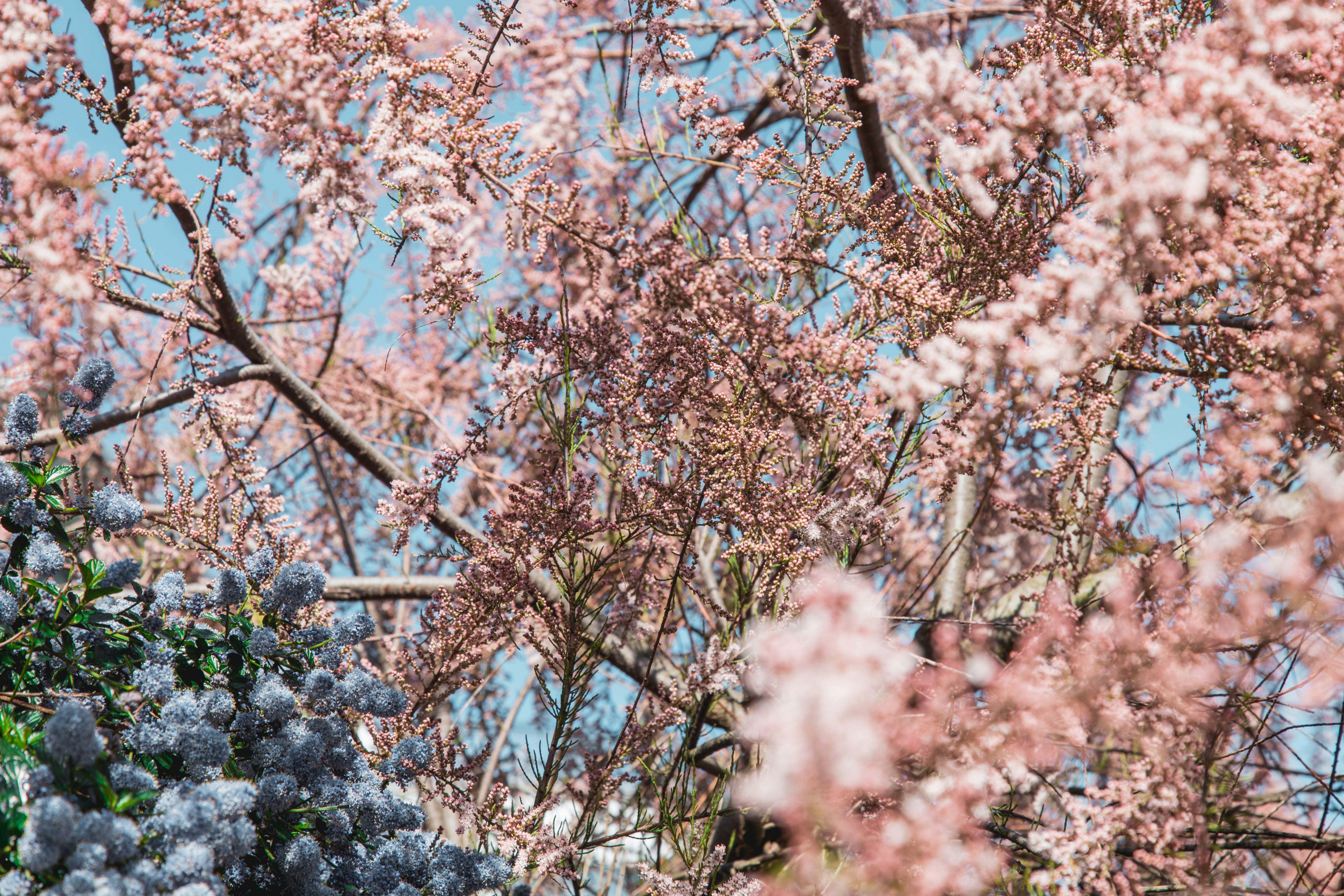 Photo by nicolasjleclercq