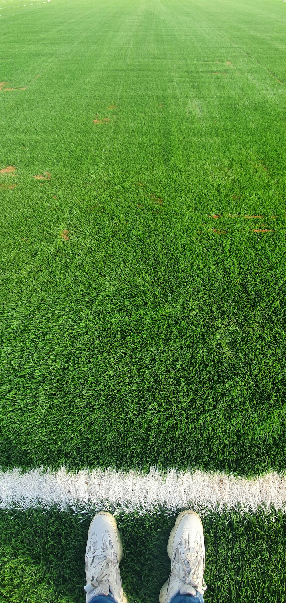 Campo de hierba verde durante el día