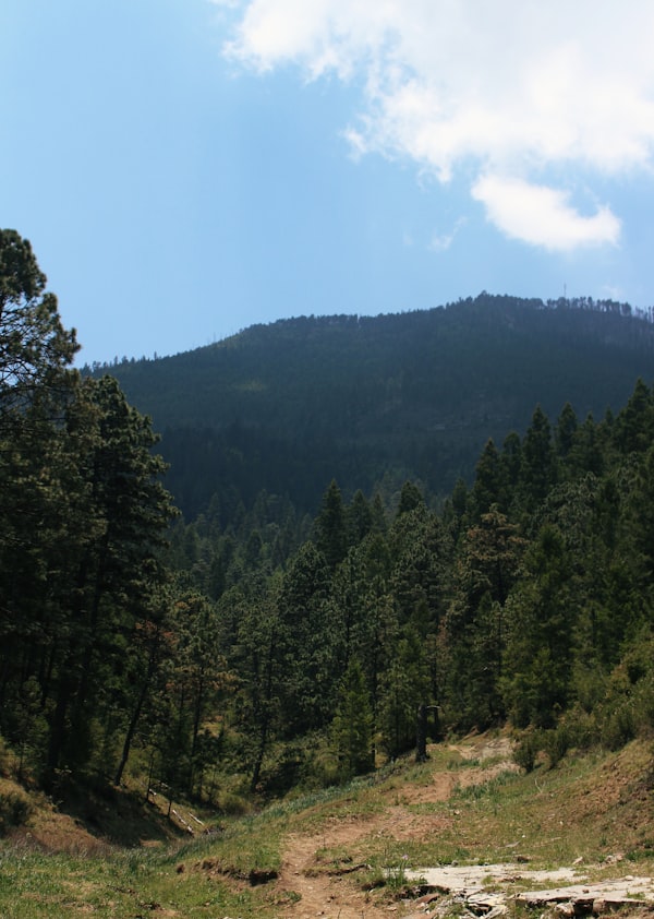 Coahuila outdoor activities both in the desert and in forests