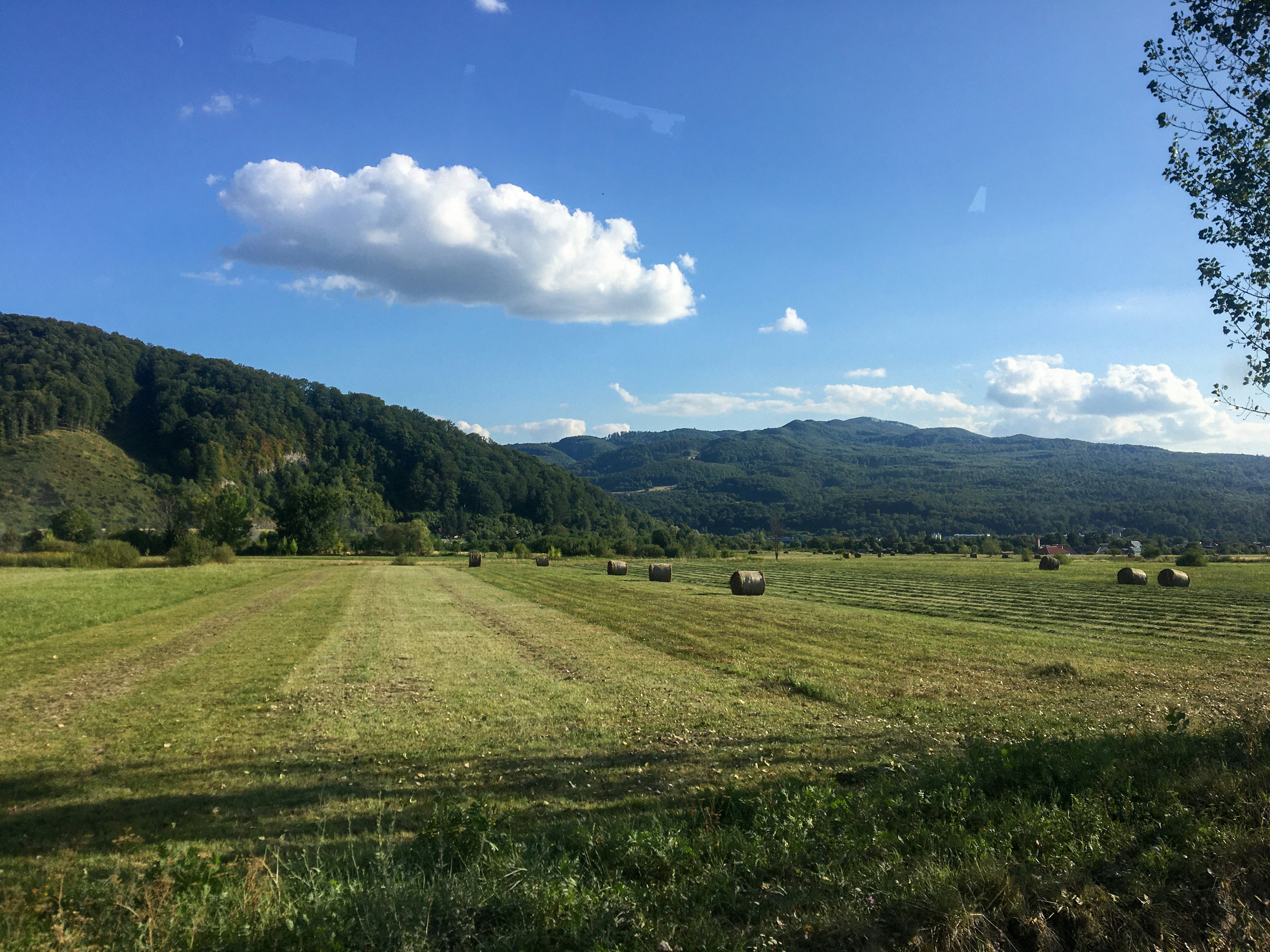 Photo by ervinke_dilike