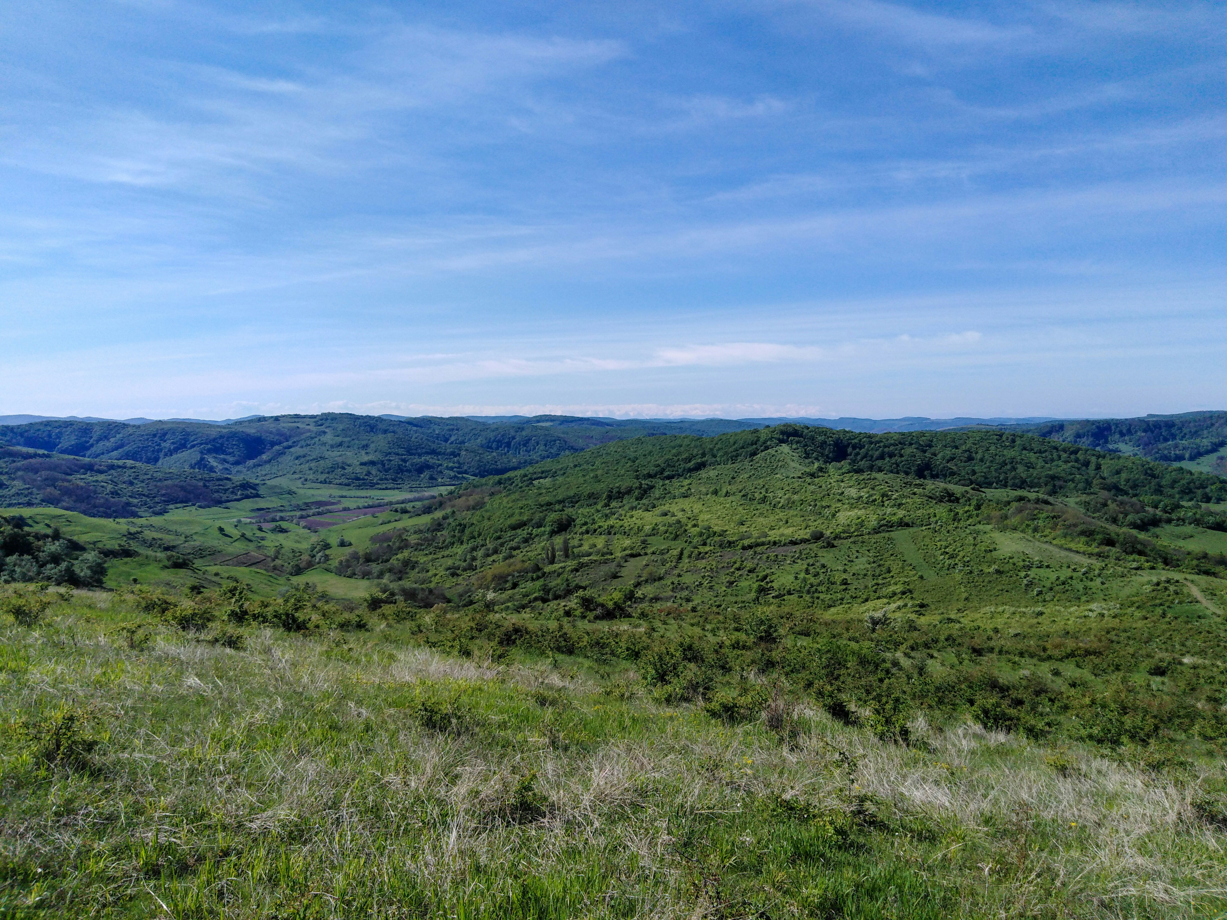 Photo by ervinke_dilike