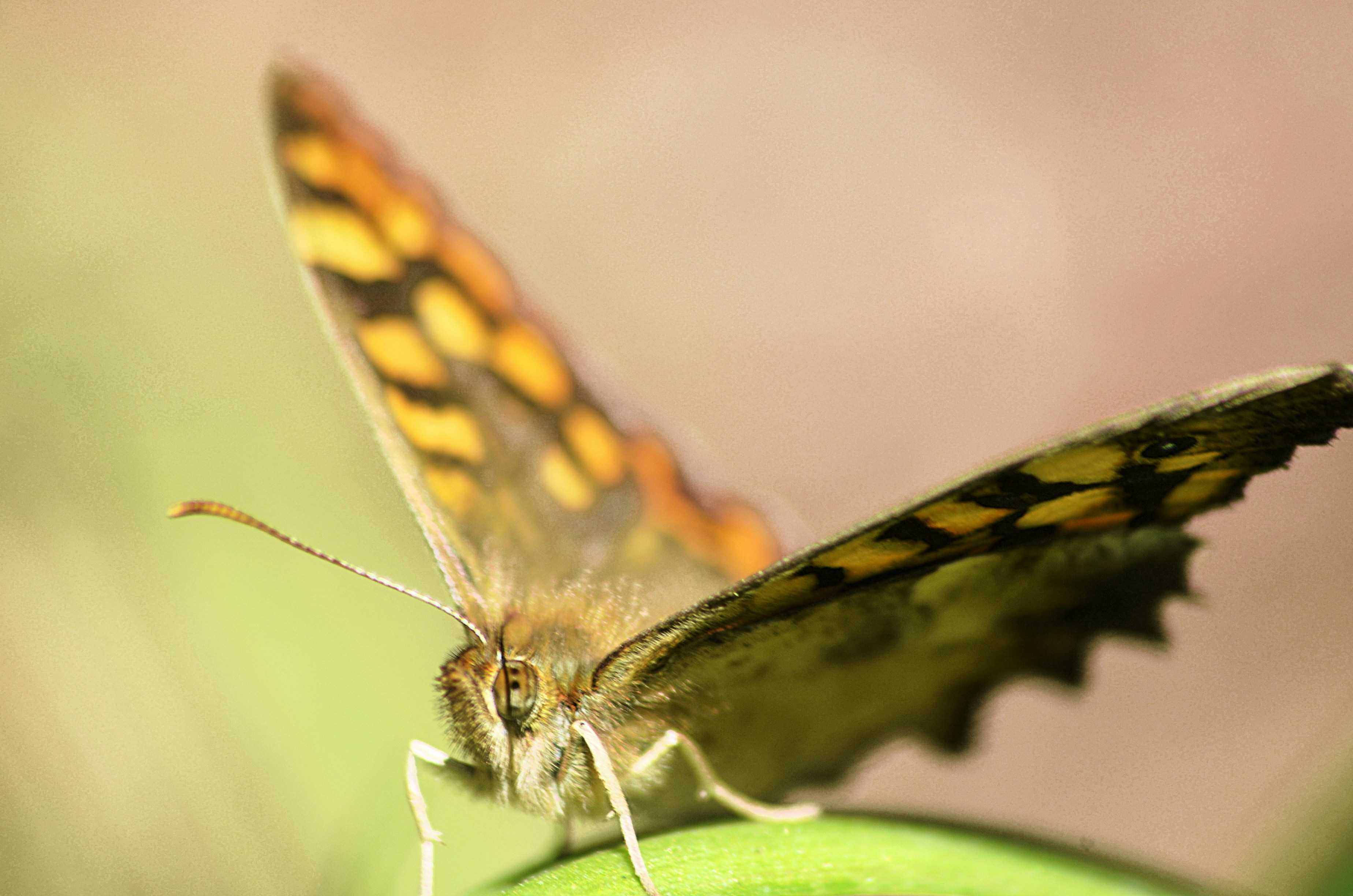 Photo by soufiane_photo_focus