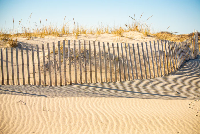 Dune fence above the ocean beach