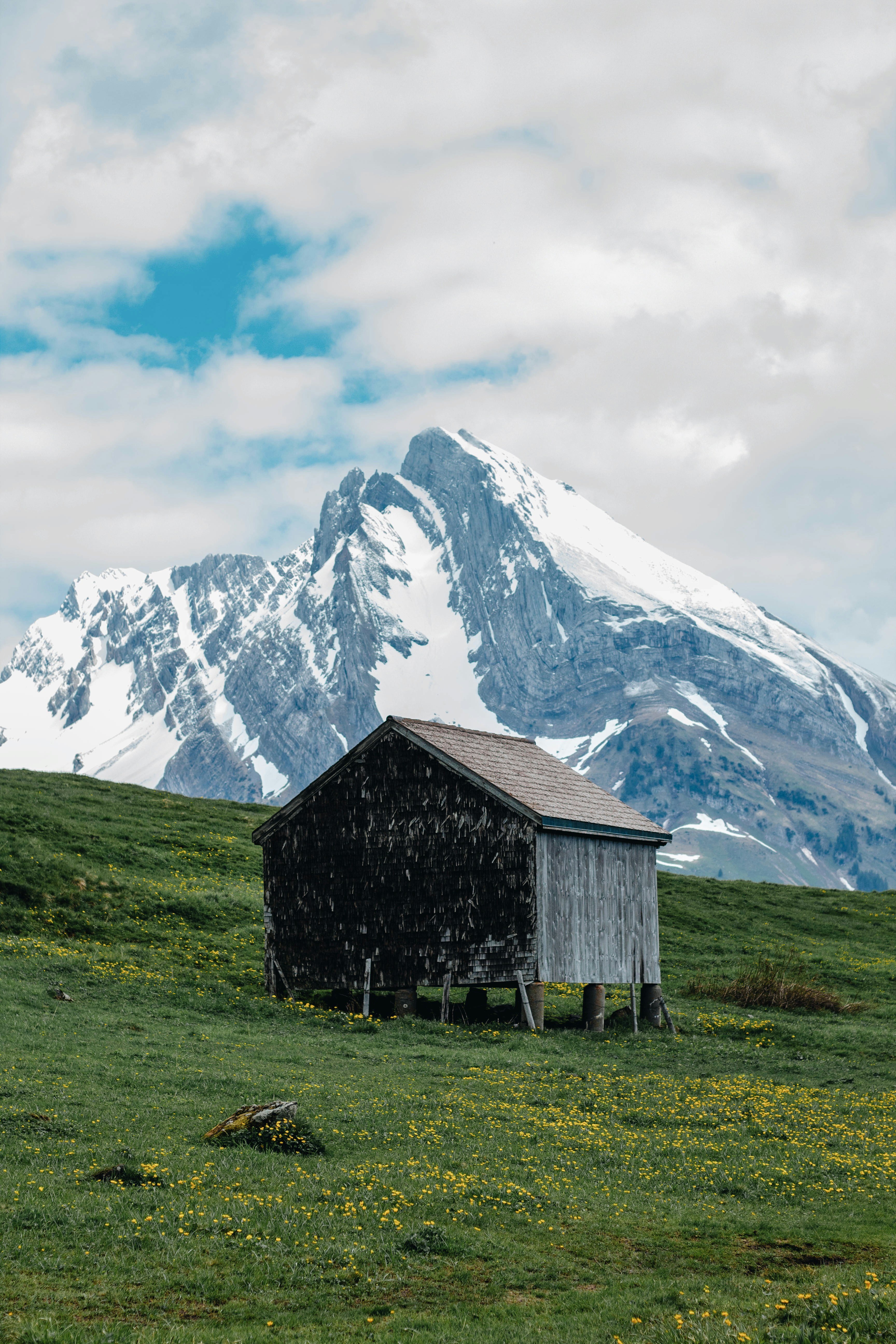 Photo by nina_mercado