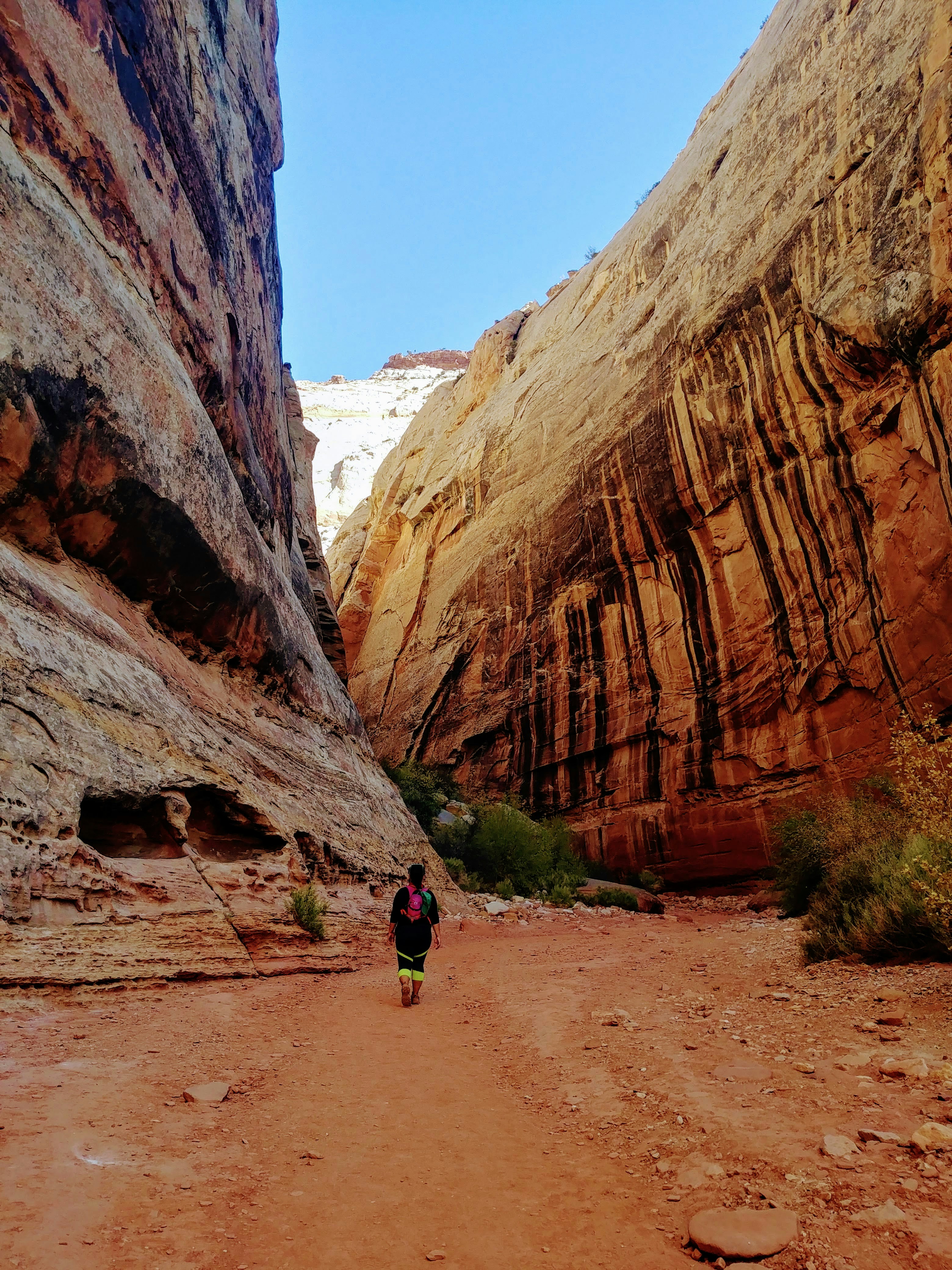 Rocky desert canyon trail winding through towering sandstone walls in warm afternoon light