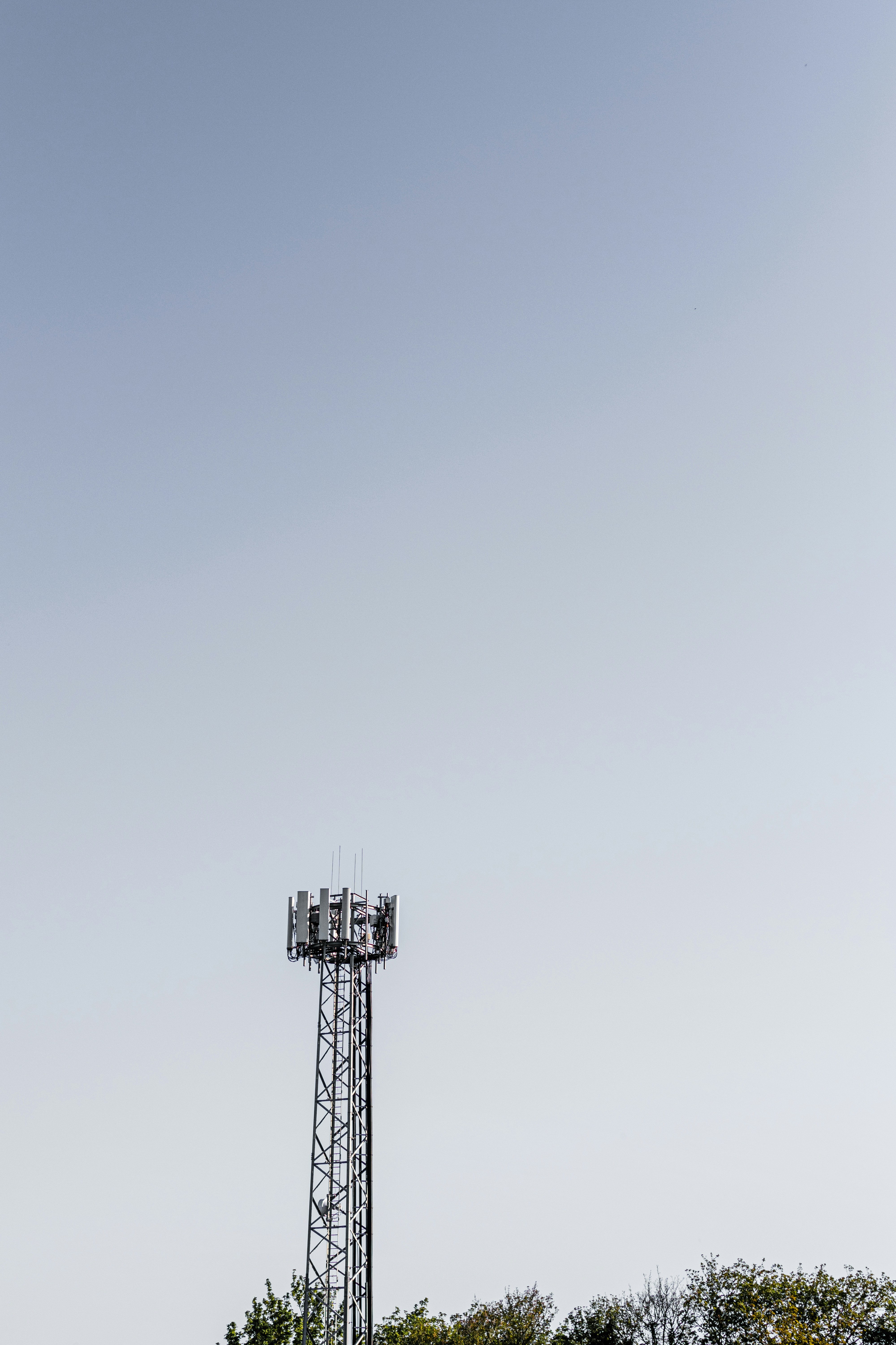 Photo by itsrobcoates