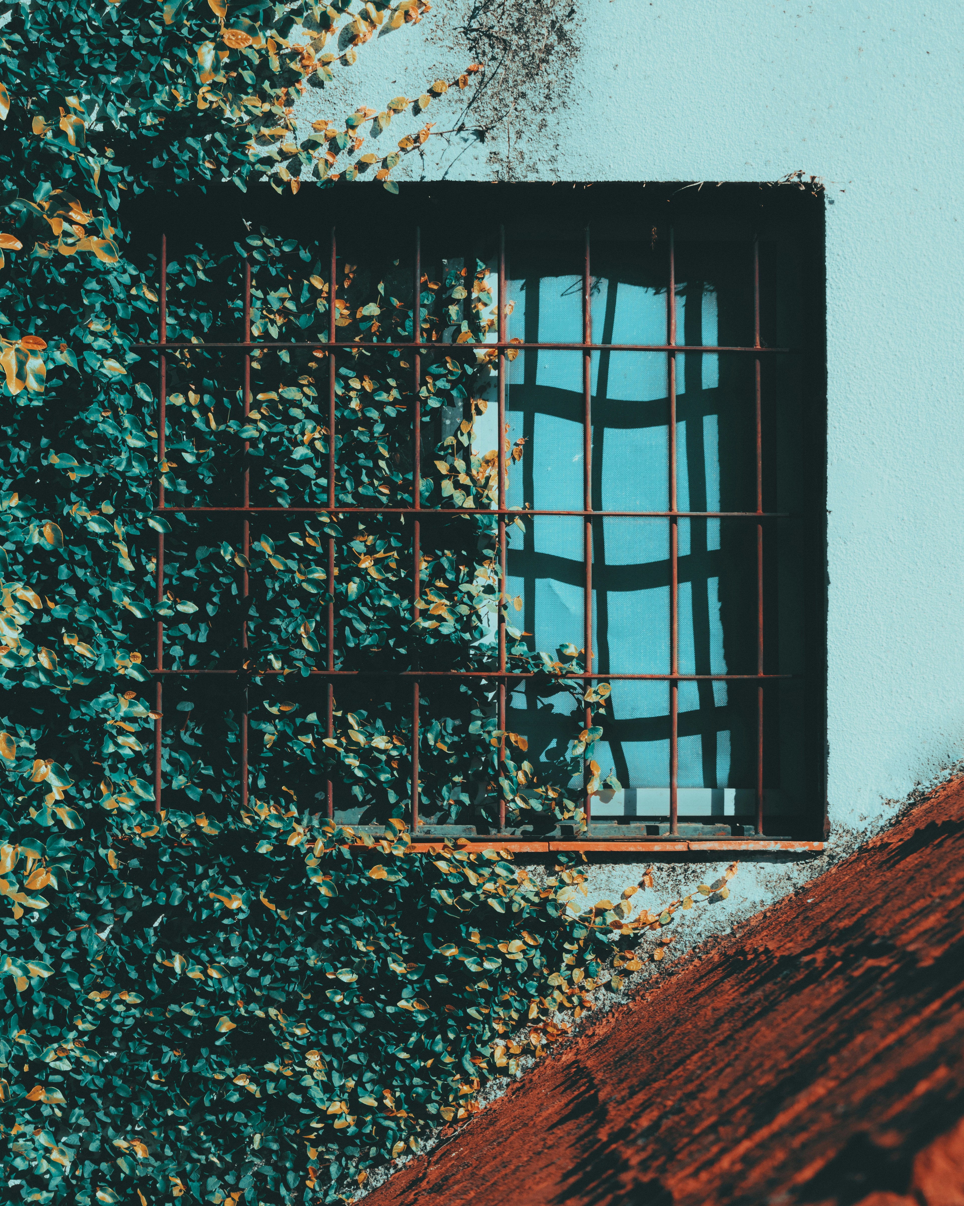 Photo by nature_of_the_experiment