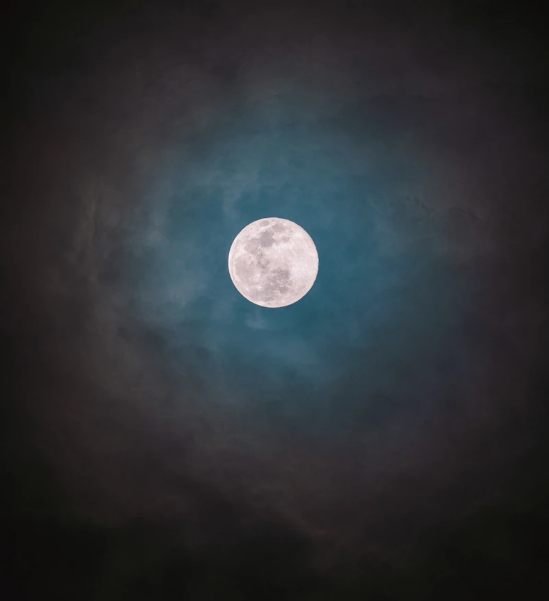 Photo by Dylan Sauerwein