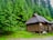 A rustic wooden cabin sits in a lush forest surrounded by tall evergreen trees. The cabin features a pitched roof and is elevated on stilts with a wooden fence running adjacent to it. The surrounding landscape is verdant with dense greenery, giving it a serene and secluded atmosphere.