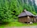 A rustic wooden cabin sits in a lush forest surrounded by tall evergreen trees. The cabin features a pitched roof and is elevated on stilts with a wooden fence running adjacent to it. The surrounding landscape is verdant with dense greenery, giving it a serene and secluded atmosphere.