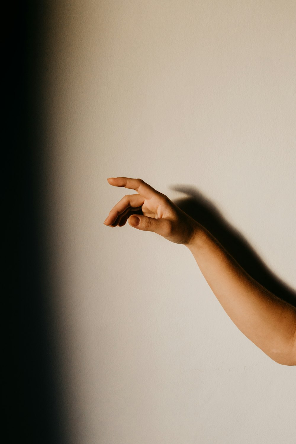 persons left hand on white wall