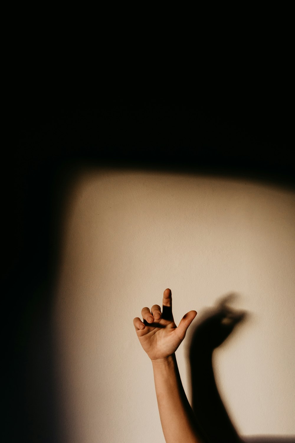 persons hand with gold ring