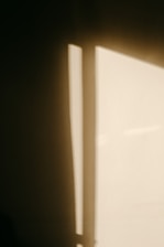 Vertical close-up of soft natural light casting gentle shadows on a minimalist off-white wall.