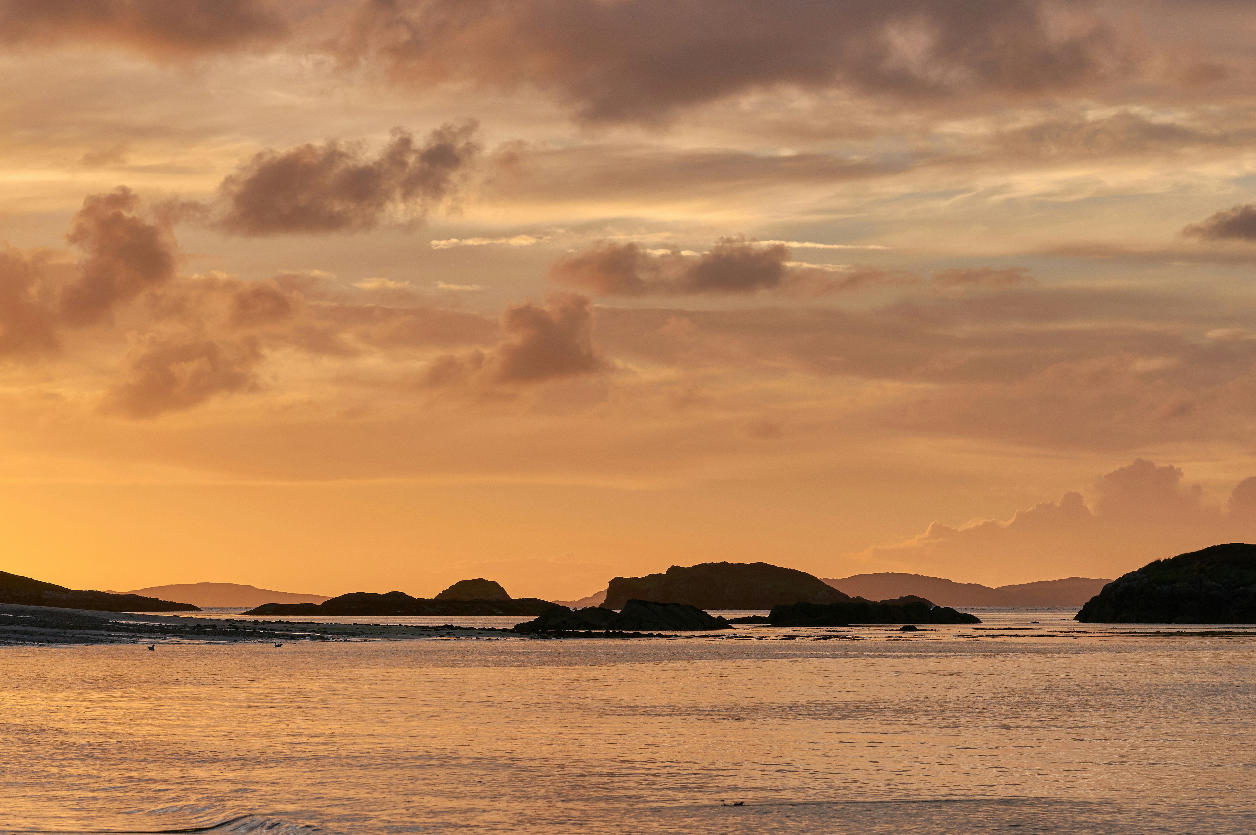 Photo by wolfgang_hasselmann