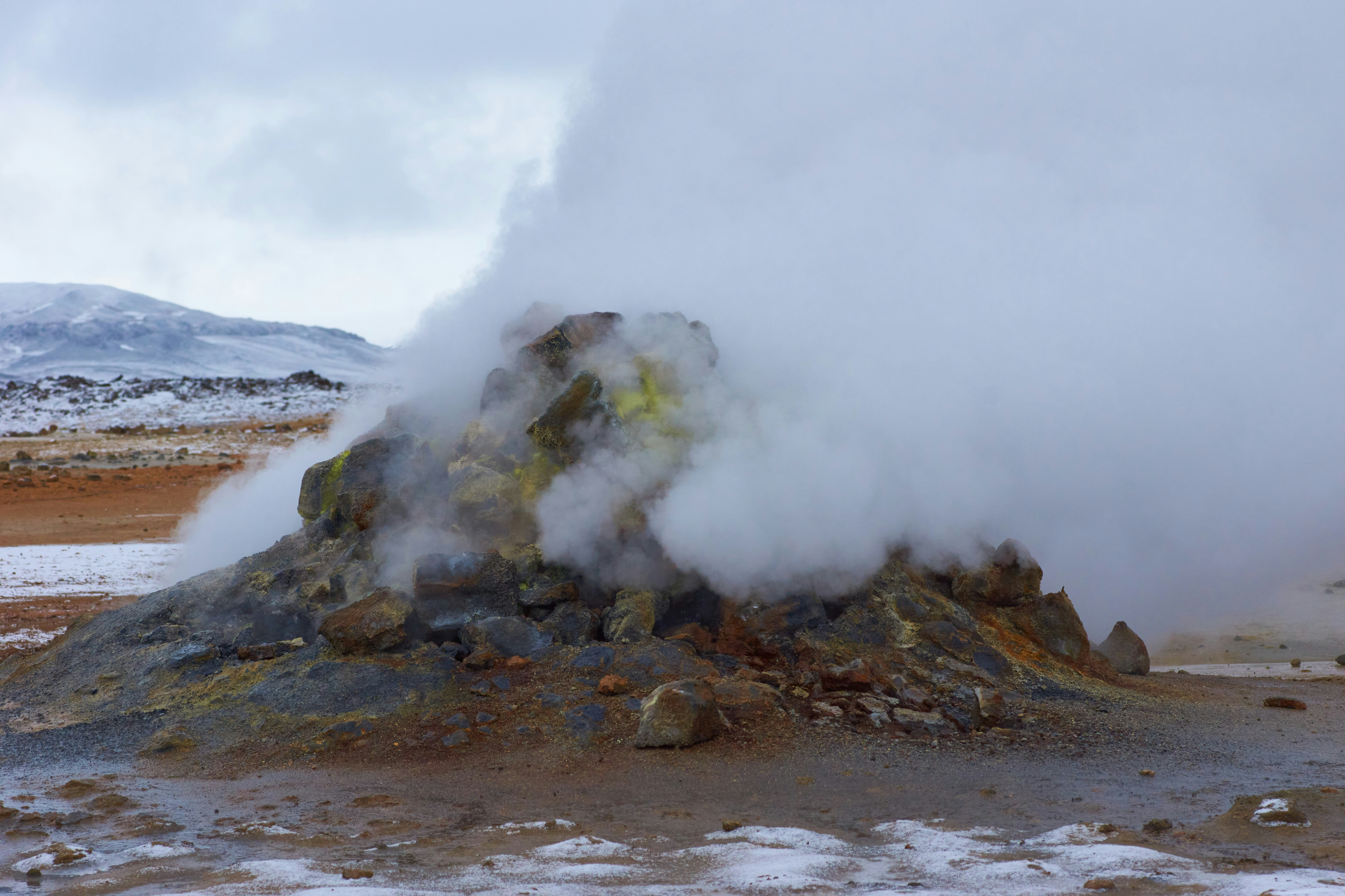 Photo by wolfgang_hasselmann