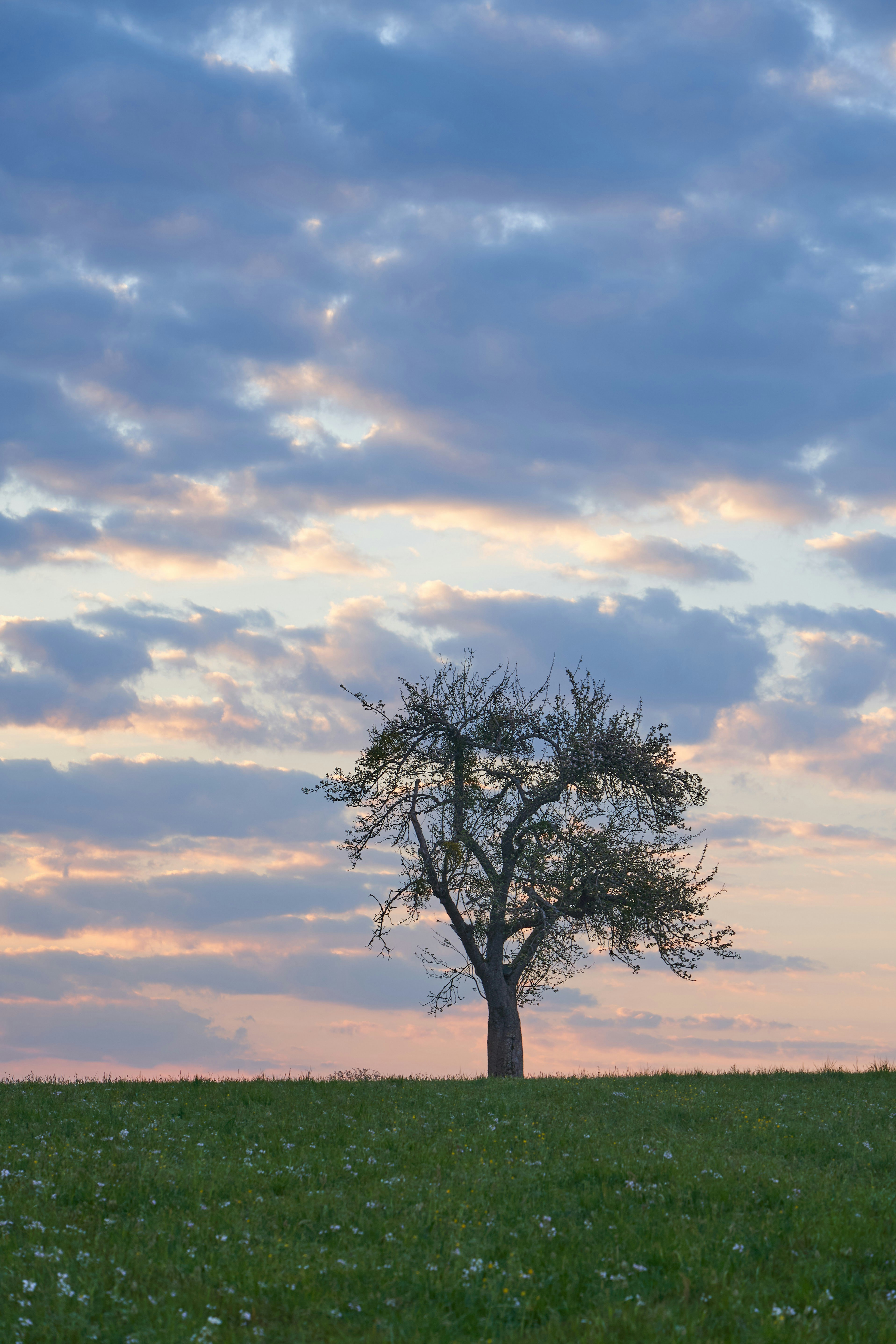 Photo by wolfgang_hasselmann