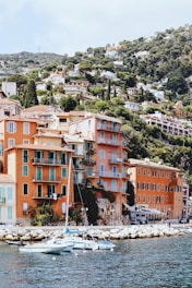 brown and white concrete buildings near green trees during daytime