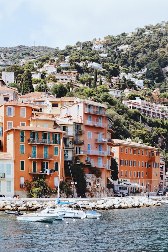 brown and white concrete buildings near green trees during daytime in Villefranche-sur-Mer France