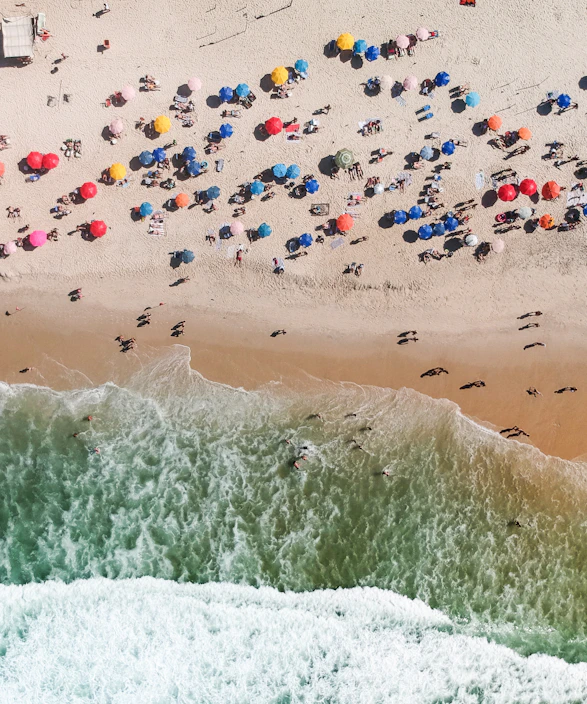 people on beach during daytime