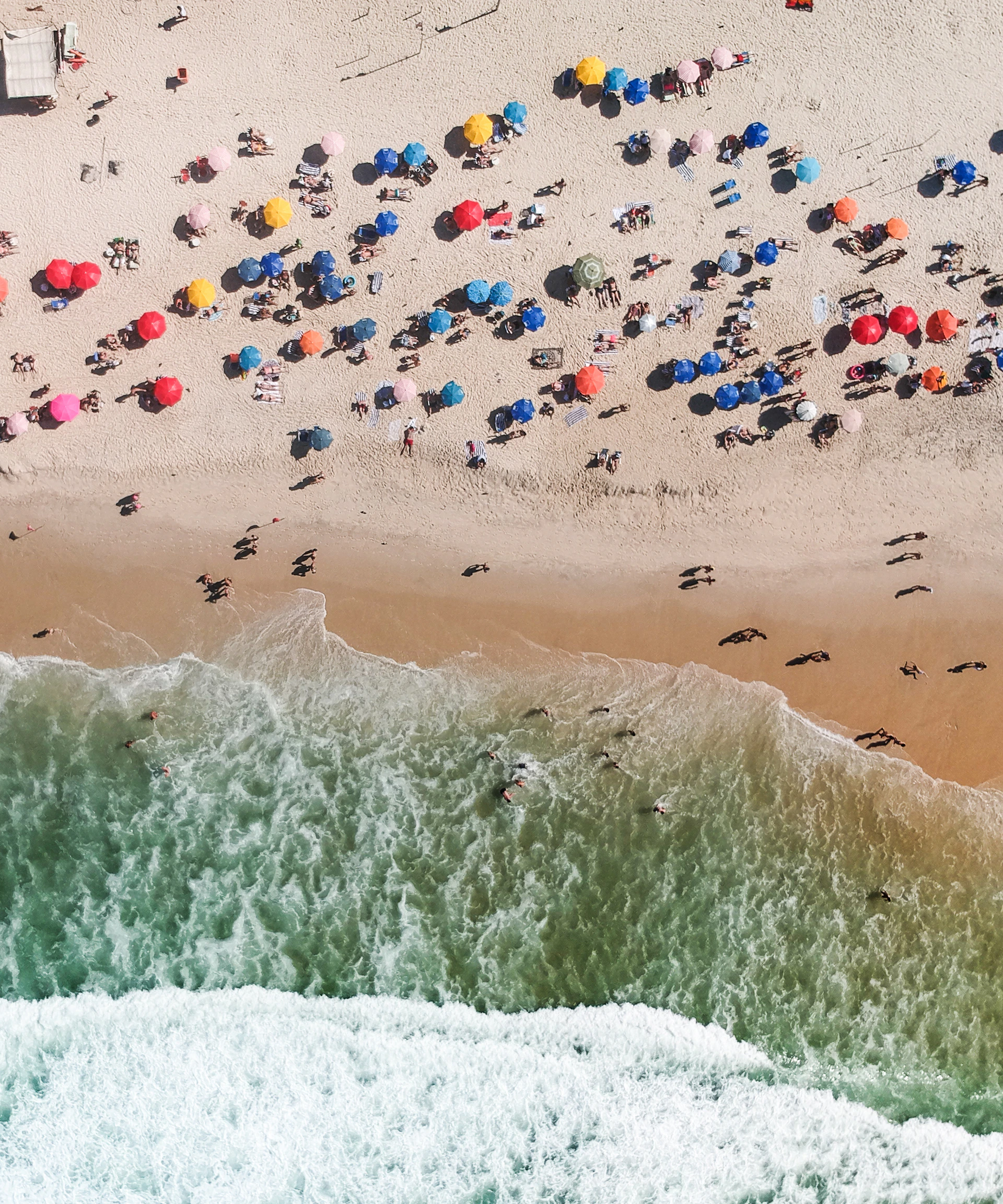 people on beach during daytime
