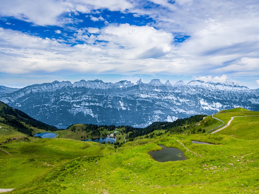 green grass field near snow covered mountains under white clouds and blue sky during daytime