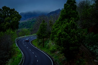 black asphalt road between green trees under blue sky during daytime