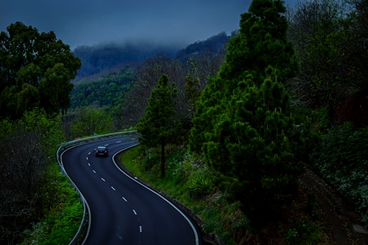 black asphalt road between green trees under blue sky during daytime