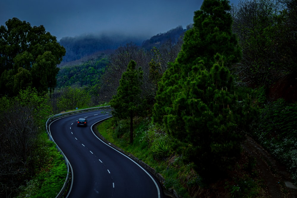 black asphalt road between green trees under blue sky during daytime