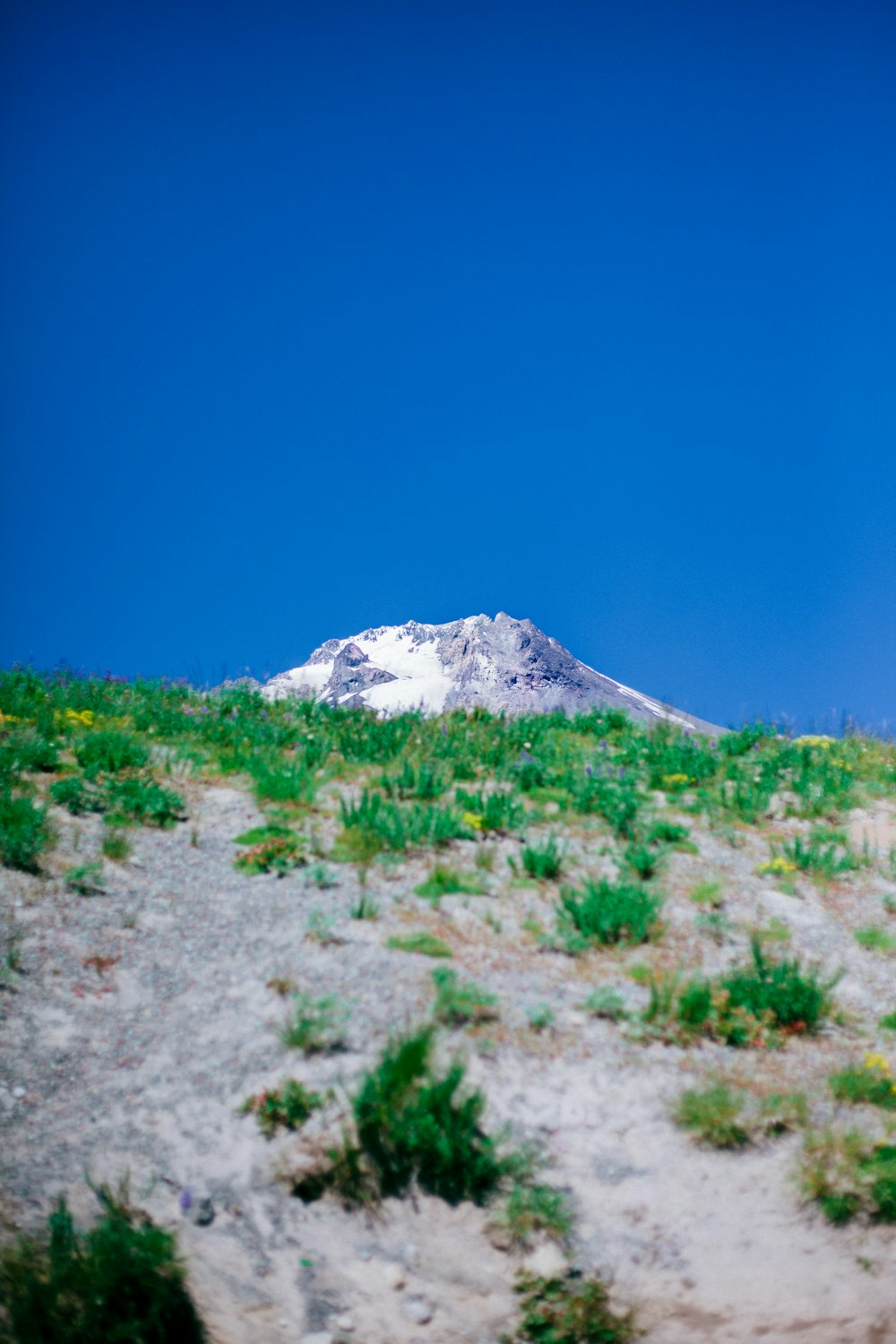 snow covered mountain under blue sky during daytime