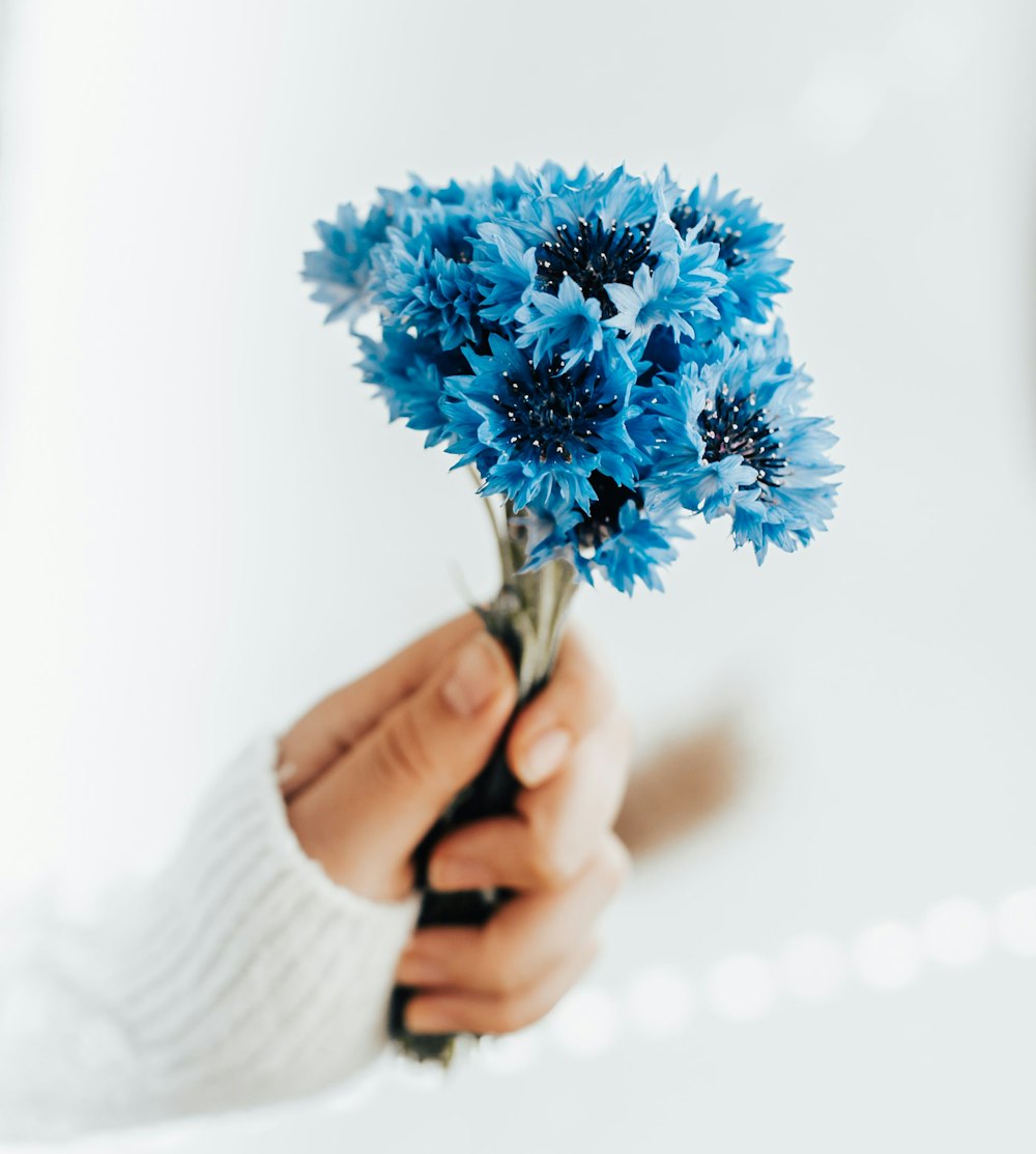 person holding blue flower bouquet