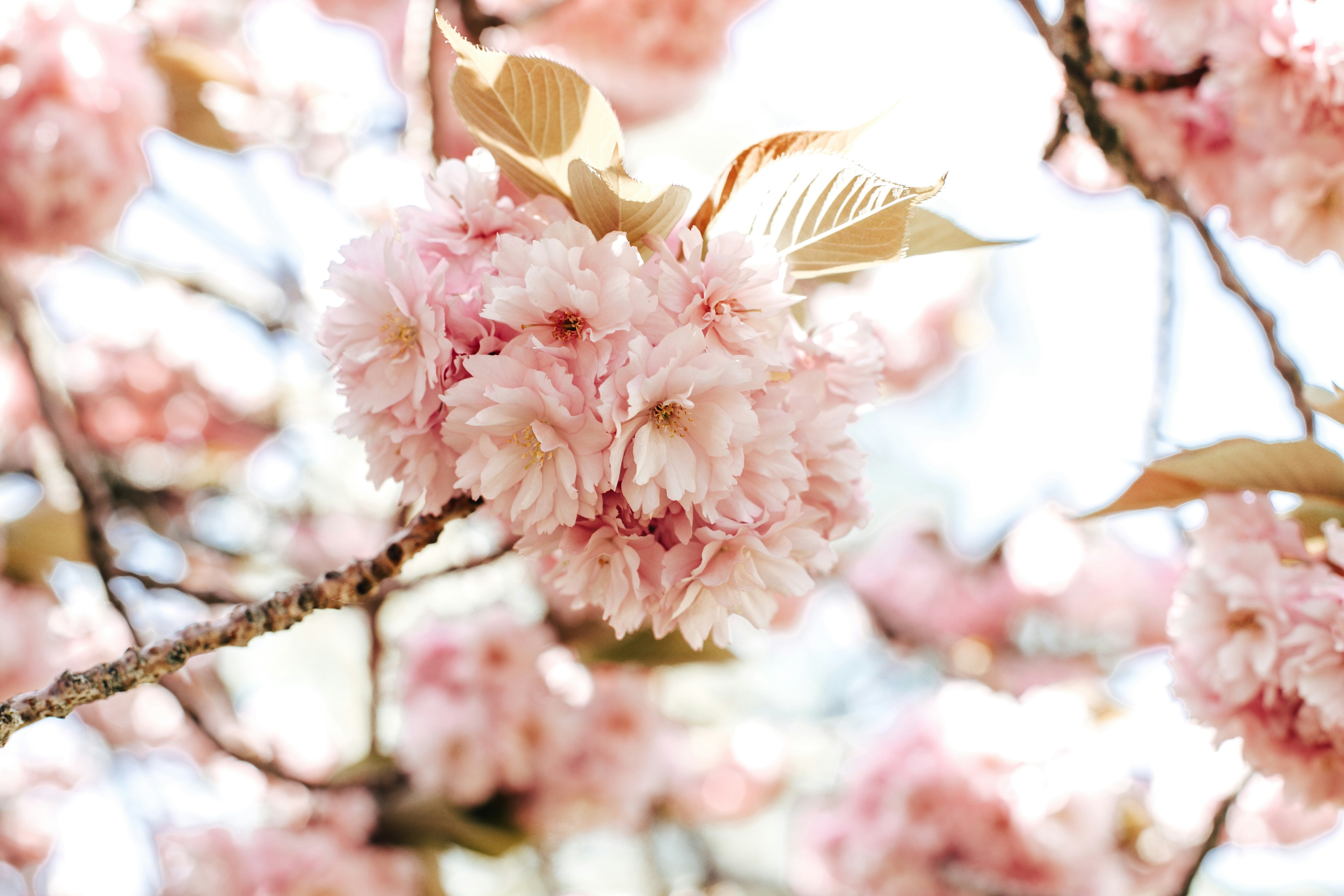 Photo by msbirgith
