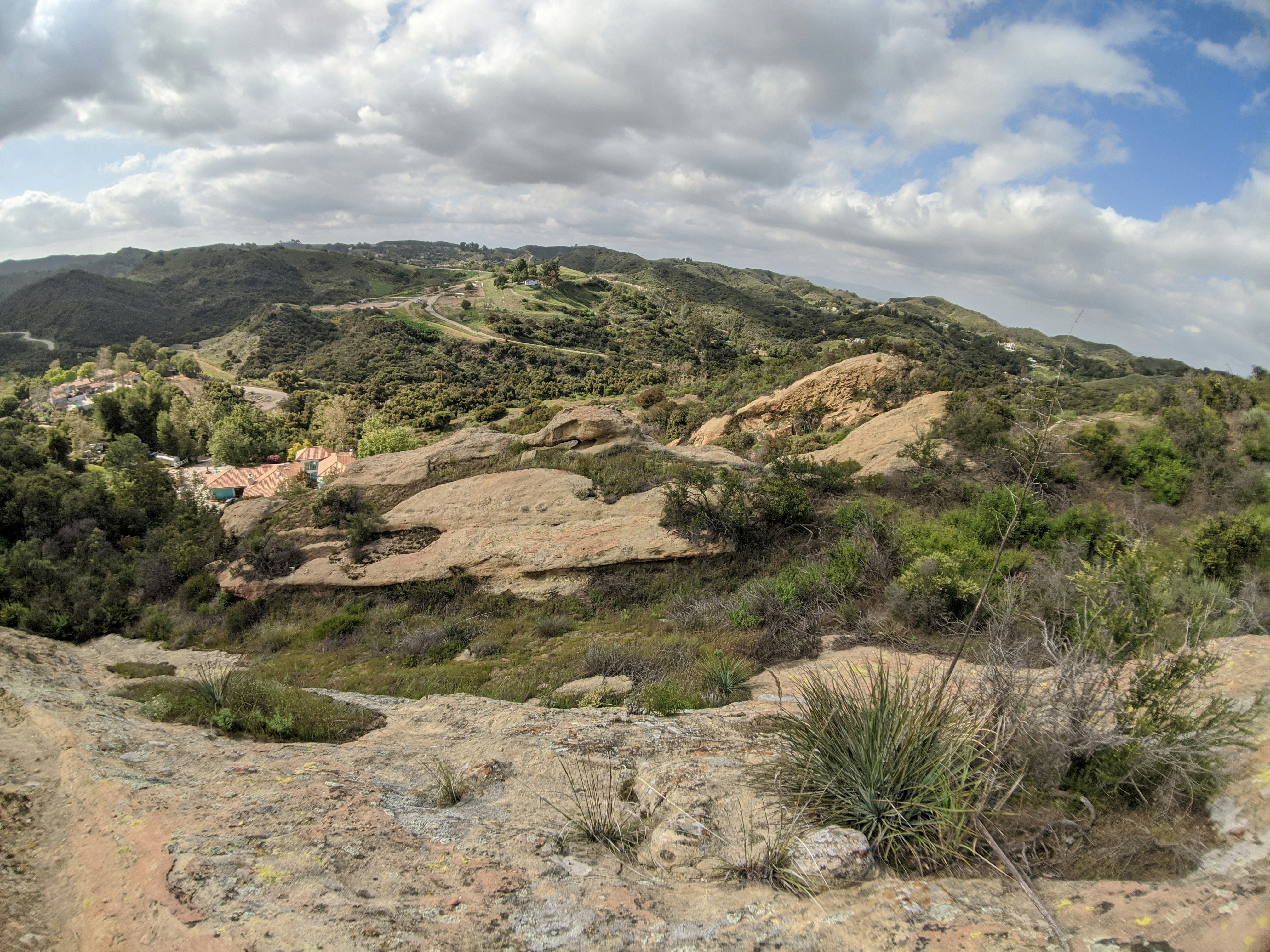 Photo by jdmarketsart