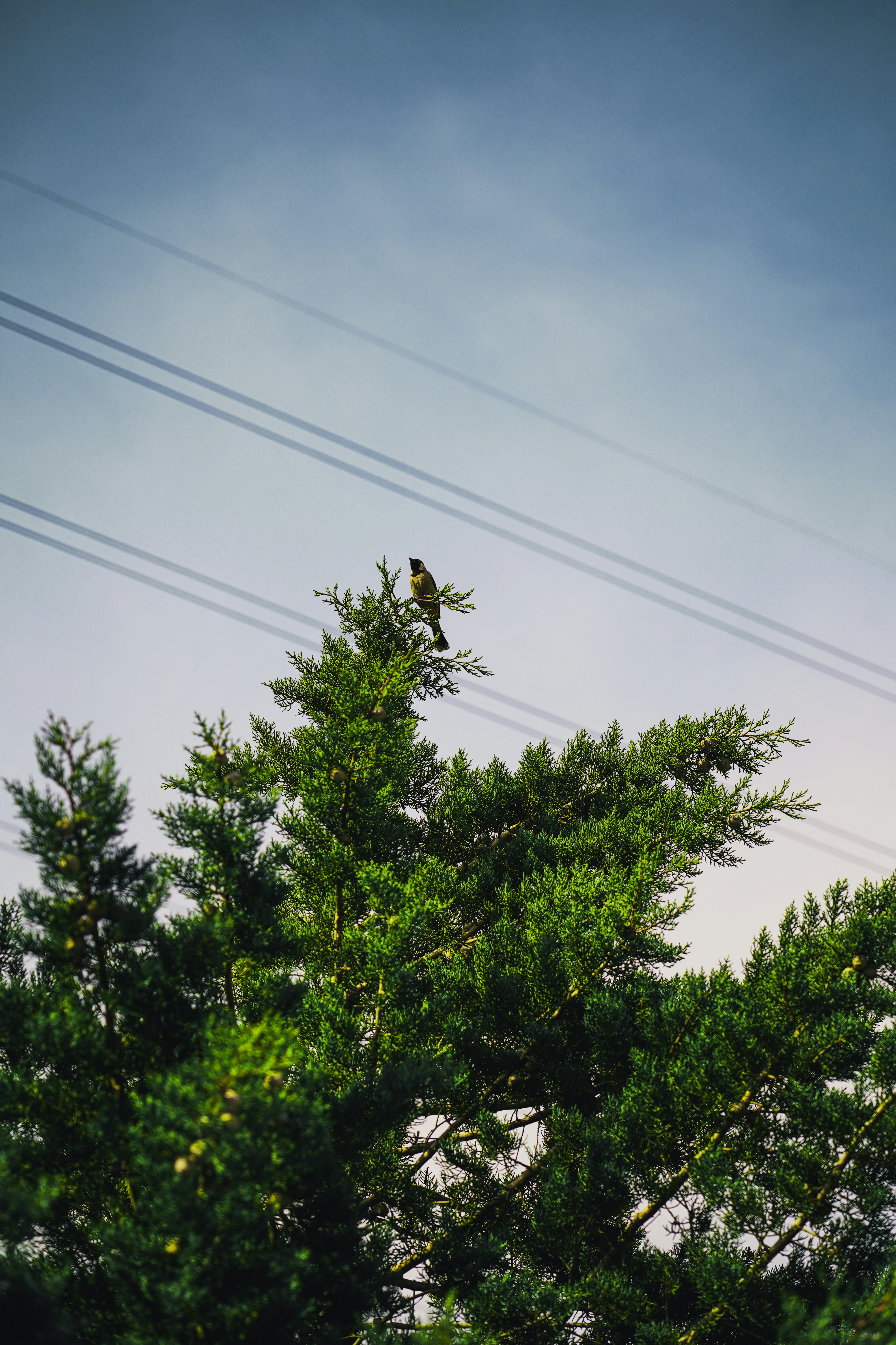 Photo by kiarash_mansouri