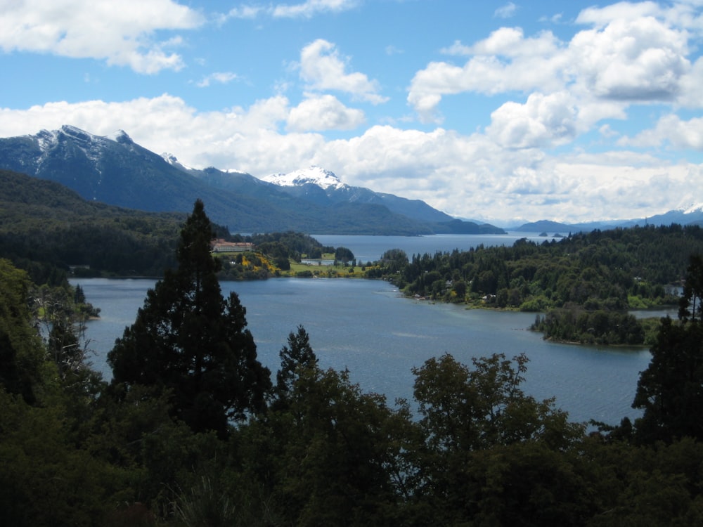 green trees near lake under blue sky during daytime