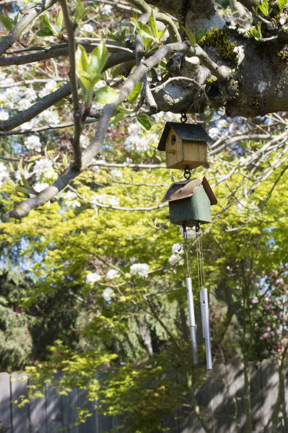 brown wooden birdhouse on tree branch during daytime