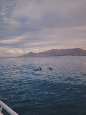 A panoramic shot of the Baía dos Golfinhos with the Fenix gliding smoothly across the calm sea.